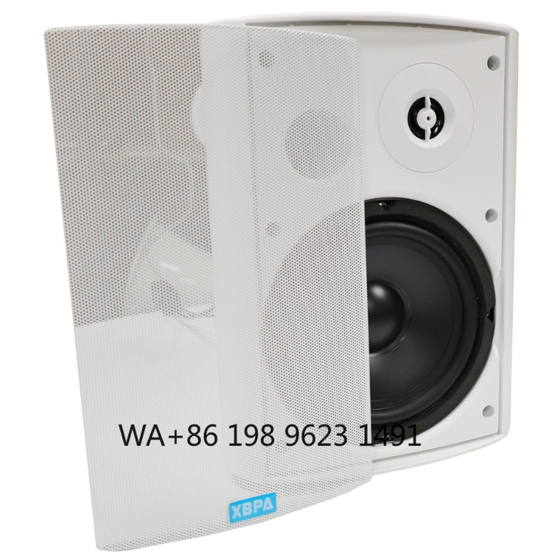 5.1 Wireless WiFi Wall Ceiling - Home Theater Speaker incelemesi ve fiyatı
