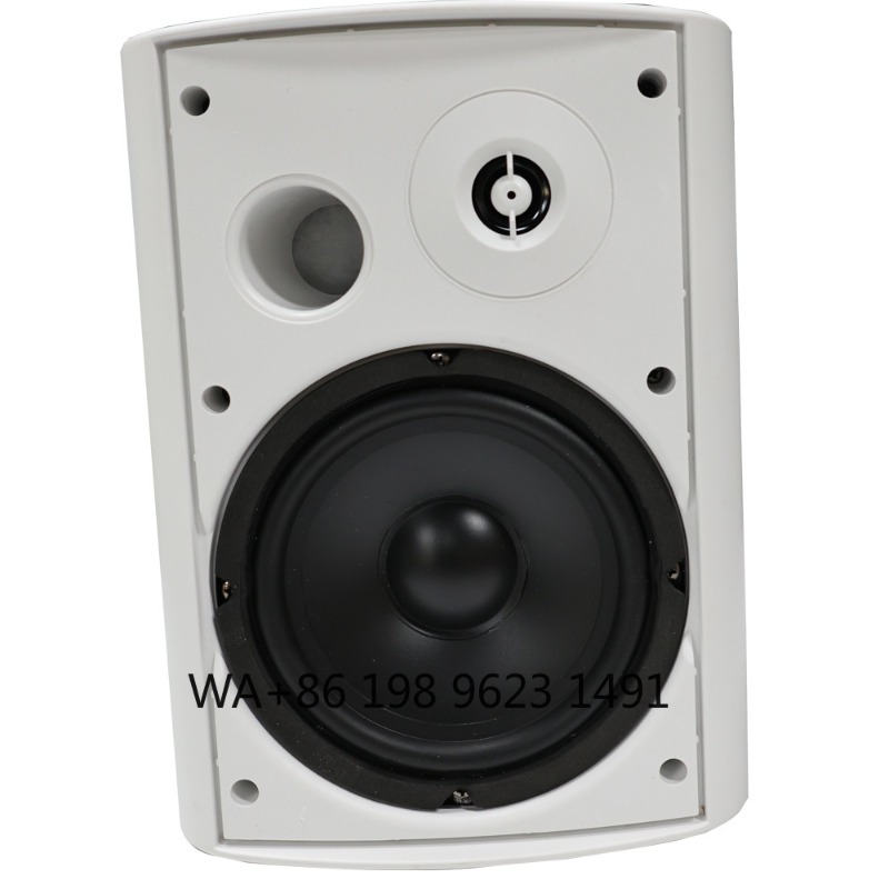 5.1 Wireless WiFi Wall Ceiling - Home Theater Speaker incelemesi ve fiyatı