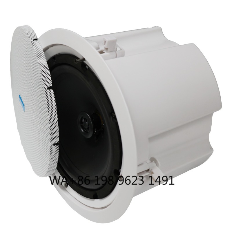 5.1 Wireless WiFi Wall Ceiling - Home Theater Speaker incelemesi ve fiyatı